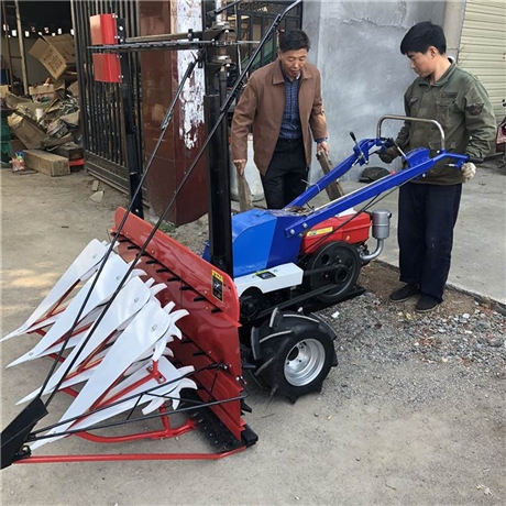 稻麦型割晒机 单行辣椒收割机型号 收割式割晒机