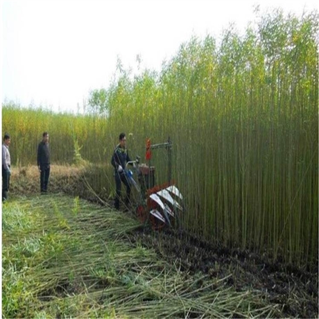 内蒙古自走式作物割晒机高杆农作物收割机前置式四轮割晒机