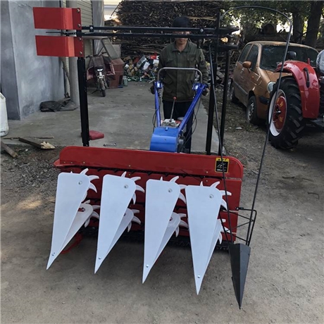 江西自走式农田农作物割晒机手扶一体收割打捆割晒机