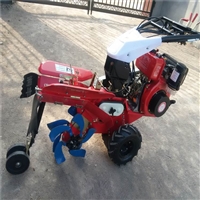 新疆大棚柴油动力田园机多功能农田开沟旋耕机