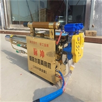 河南一键启动打药弥雾机背负式果园两用打药机