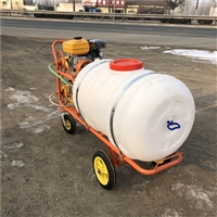 香港高压远射程手推喷雾器多功能农田苗圃杀虫打药机