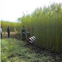 内蒙古自走式作物割晒机高杆农作物收割机前置式四轮割晒机