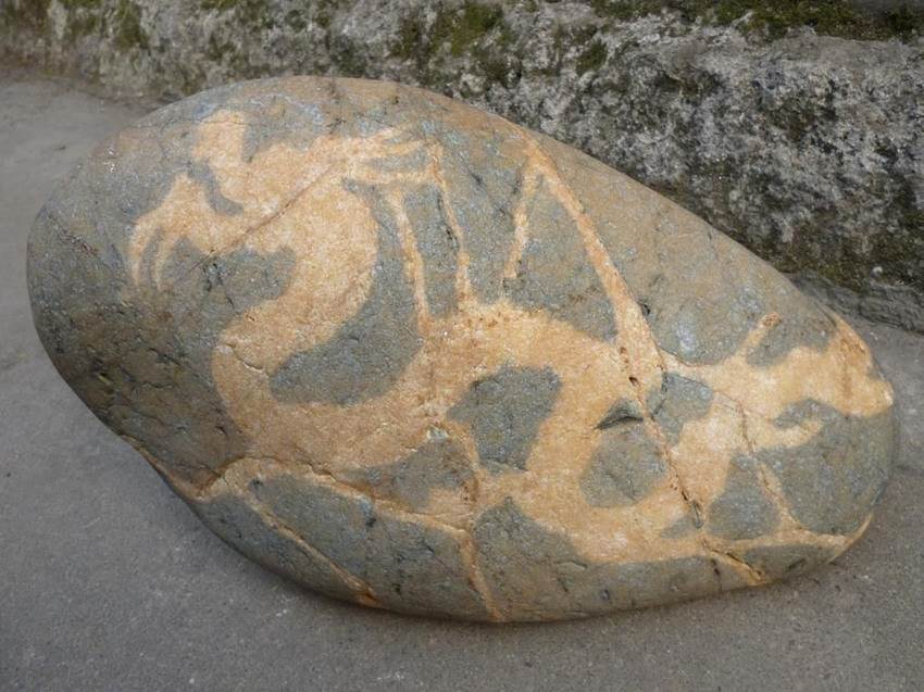 龙纹奇石有交易成功的吗