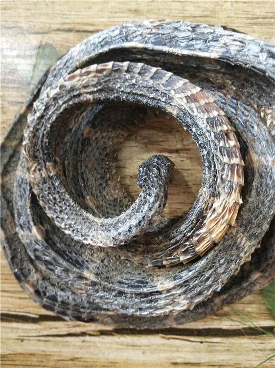 冷背药材批发小风藤小风藤的产地