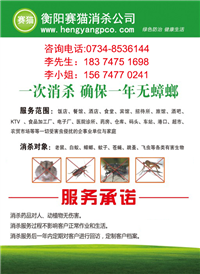 写字楼灭四害，衡阳灭苍蝇费用