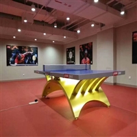 塑胶地板 PVC地板 乒乓球运动地板 PVC塑胶卷材