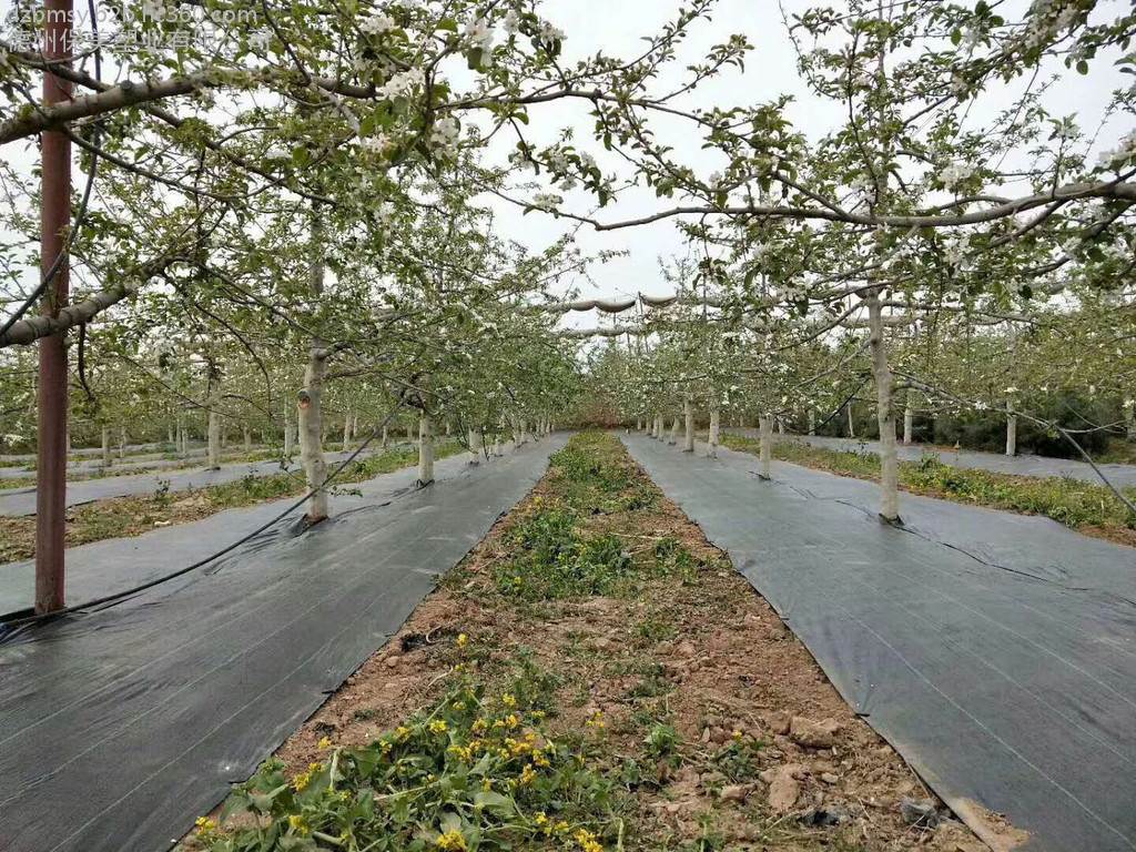 北京排水板质量