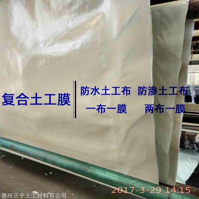 600克二布一膜短纤针刺非织造/0.3mmmPE复合土工膜品质推荐