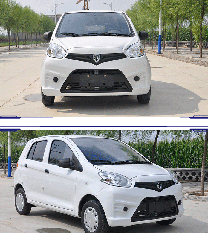 工厂直销宝路达四轮电动车全封闭老年代步车油电混合电瓶车