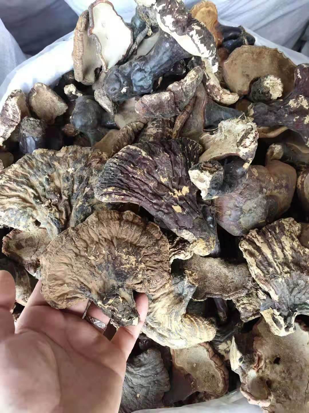 中药材铅丹哪里有卖