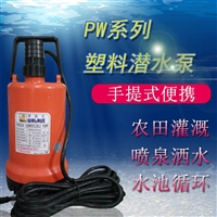 PW250手提式耐腐蚀海水潜水泵
