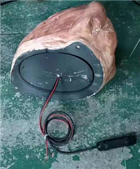 POE供电草坪音箱/仿真音箱