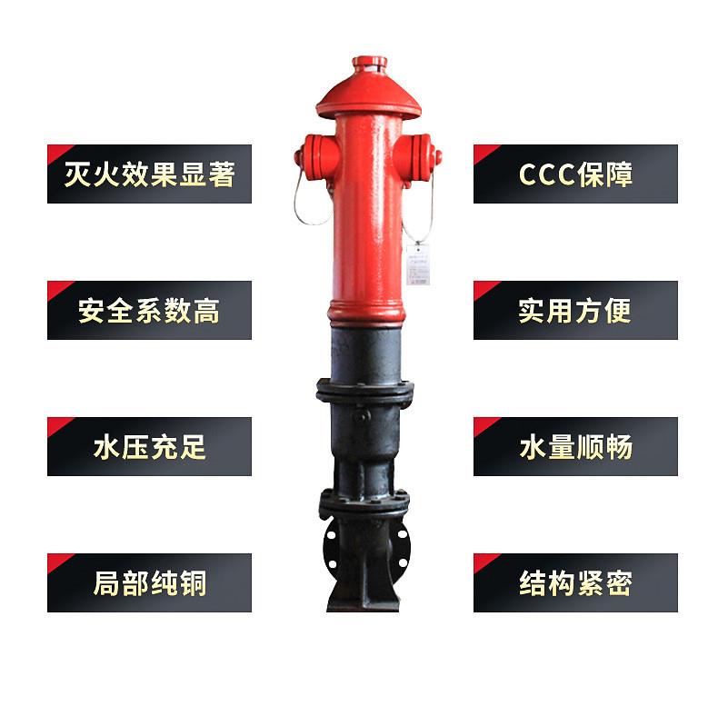 SSFT100/65-1.6地上消火栓 防冻防撞地上消火栓