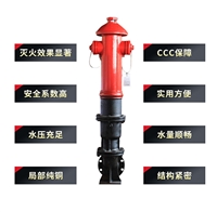 SSFT100/65-1.6地上消火栓 防冻防撞地上消火栓