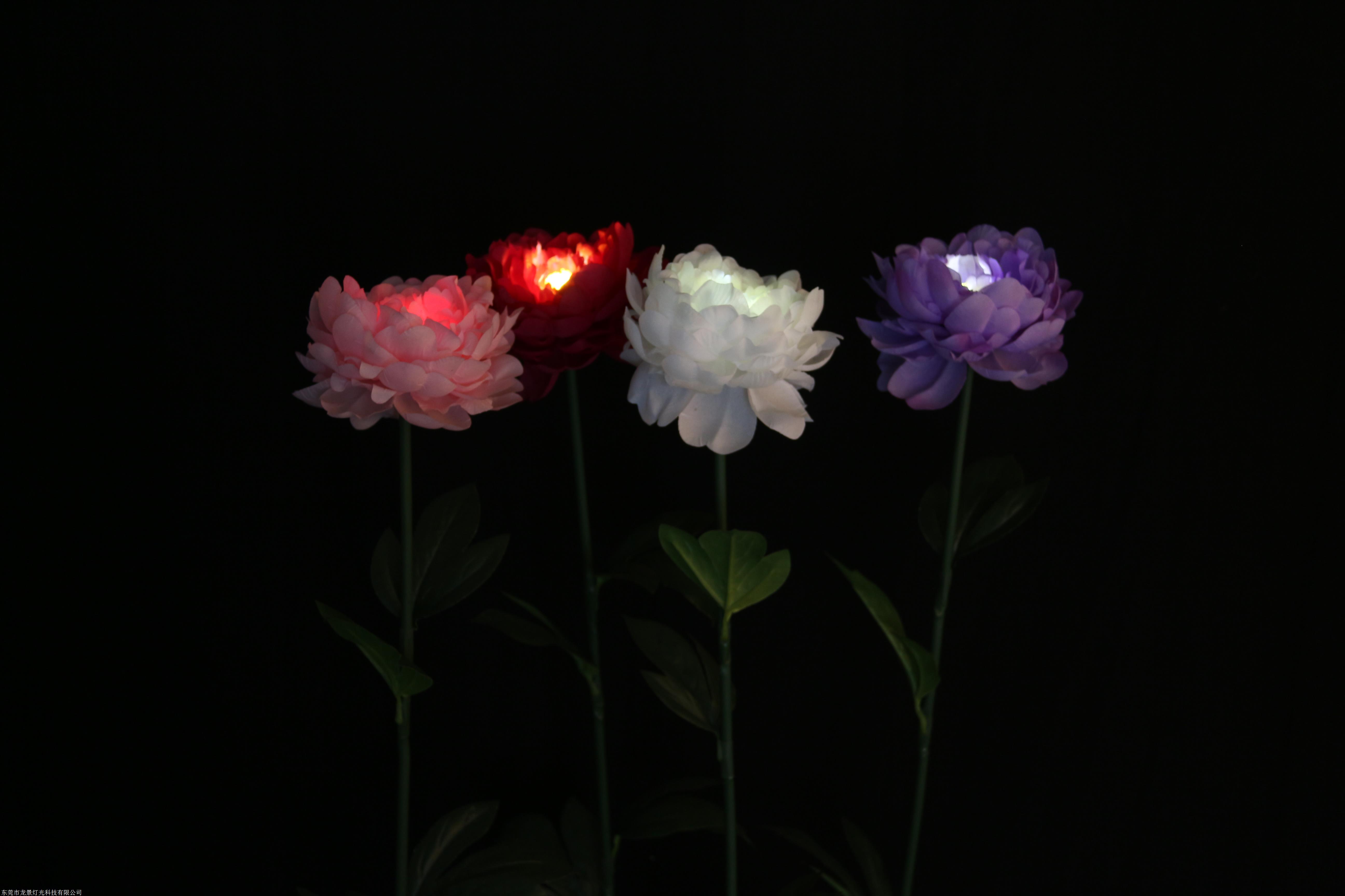 led景观灯 牡丹花灯 仿真花灯 国花造型灯 公园景区创意草坪灯