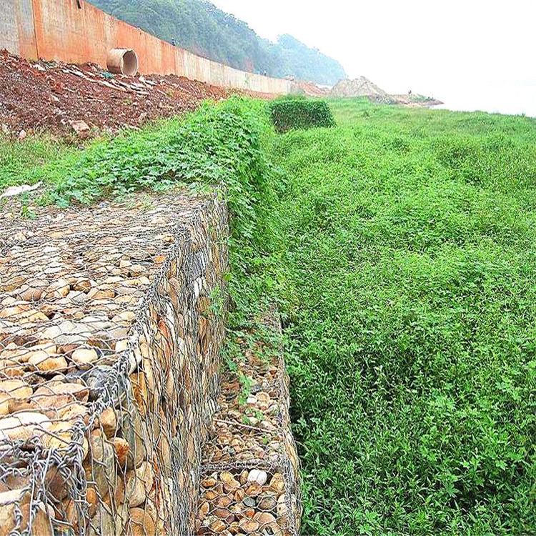 小型水库格宾网除险加固 水库上下游护坡格宾网箱