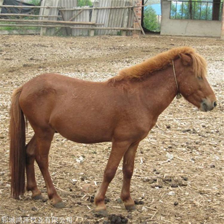 客运长途专车-郑州到滨州大巴车-快客时刻表_搜了网