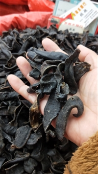 中药材批发水蛭一斤价格