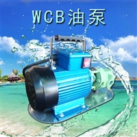 WCB30卧式单级抽油泵