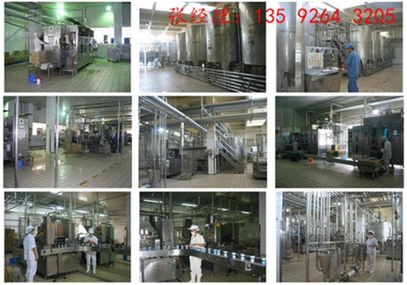 豆奶饮料设备厂家  2023成套玻璃瓶豆乳花生奶灌装包装加工设备