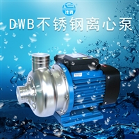 DWB300/1.1KW工业大流量 矿泉水灌溉不锈钢离心泵