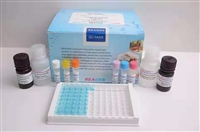 氨基糖苷类联免疫检测试剂盒