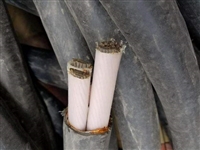 上海浦东电缆线回收 上海回收电缆线价格