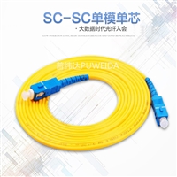 SC-SC单模光纤跳线