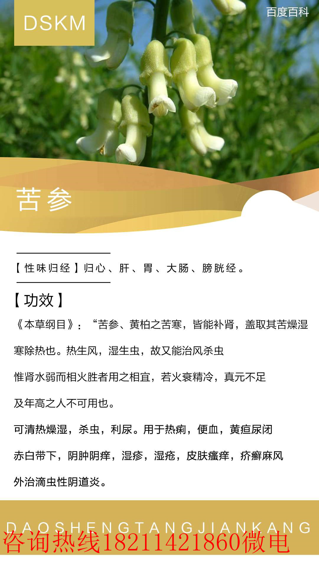 广东揭阳道圣堂活络康膜价格优