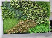学校真植物墙 仿真绿植墙 金森