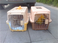 专线六盘水到河源直达汽车乘车地址