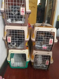 专线习水到余姚汽车客车联系方式