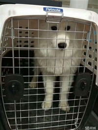 大巴曲靖到乐清大巴汽车乘车地址