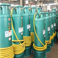 贵州污水站矿用防爆潜水泵BQS30-30-5.5kw三项防爆无堵排污泵