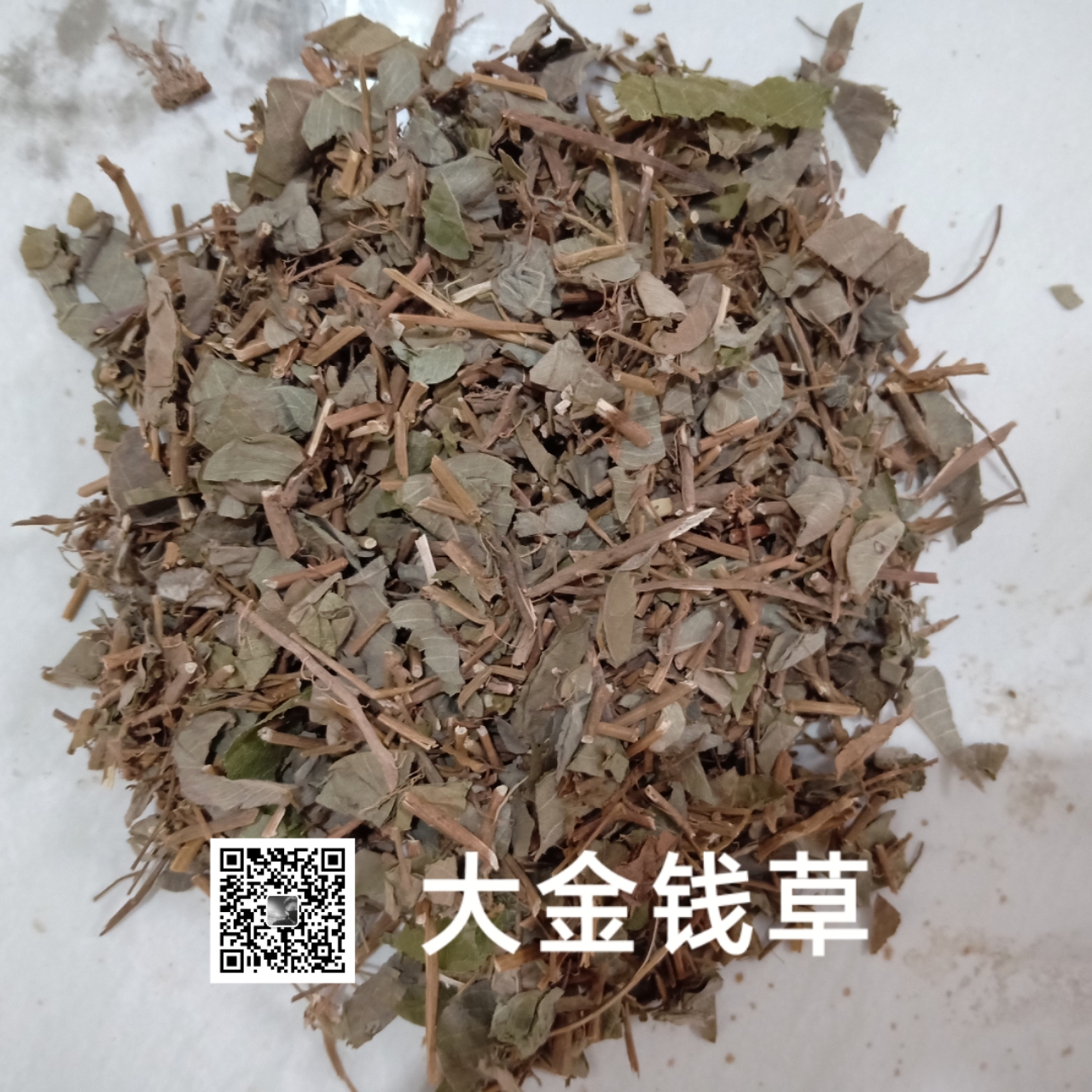 供应金钱草金钱草价格