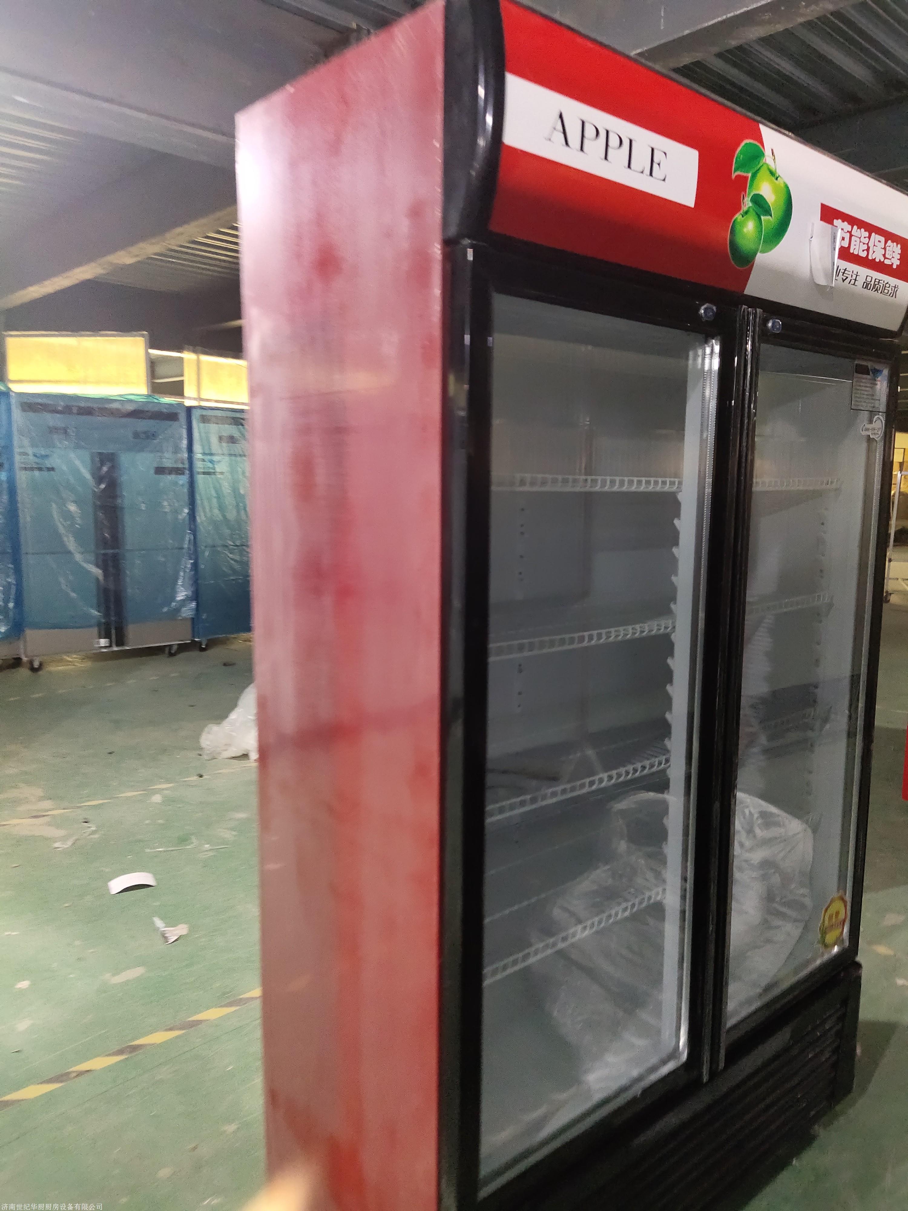 啤酒柜冰柜双门立式风冷直冷超市冰箱啤酒水果保鲜冰柜