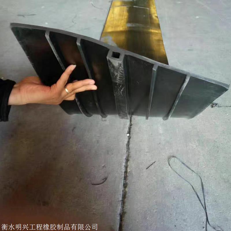 顶板伸缩缝外贴式橡胶止水带