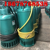 安徽煤矿用双叶轮潜水泵BQS15-55/2-5.5防爆耐腐蚀排污电泵