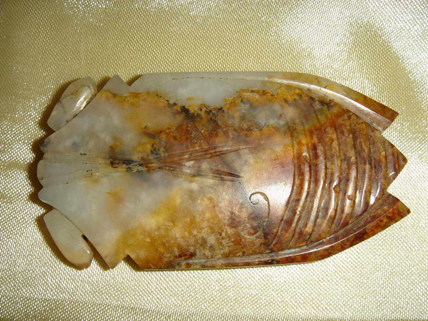 哪里私下交易玉蝉价格高