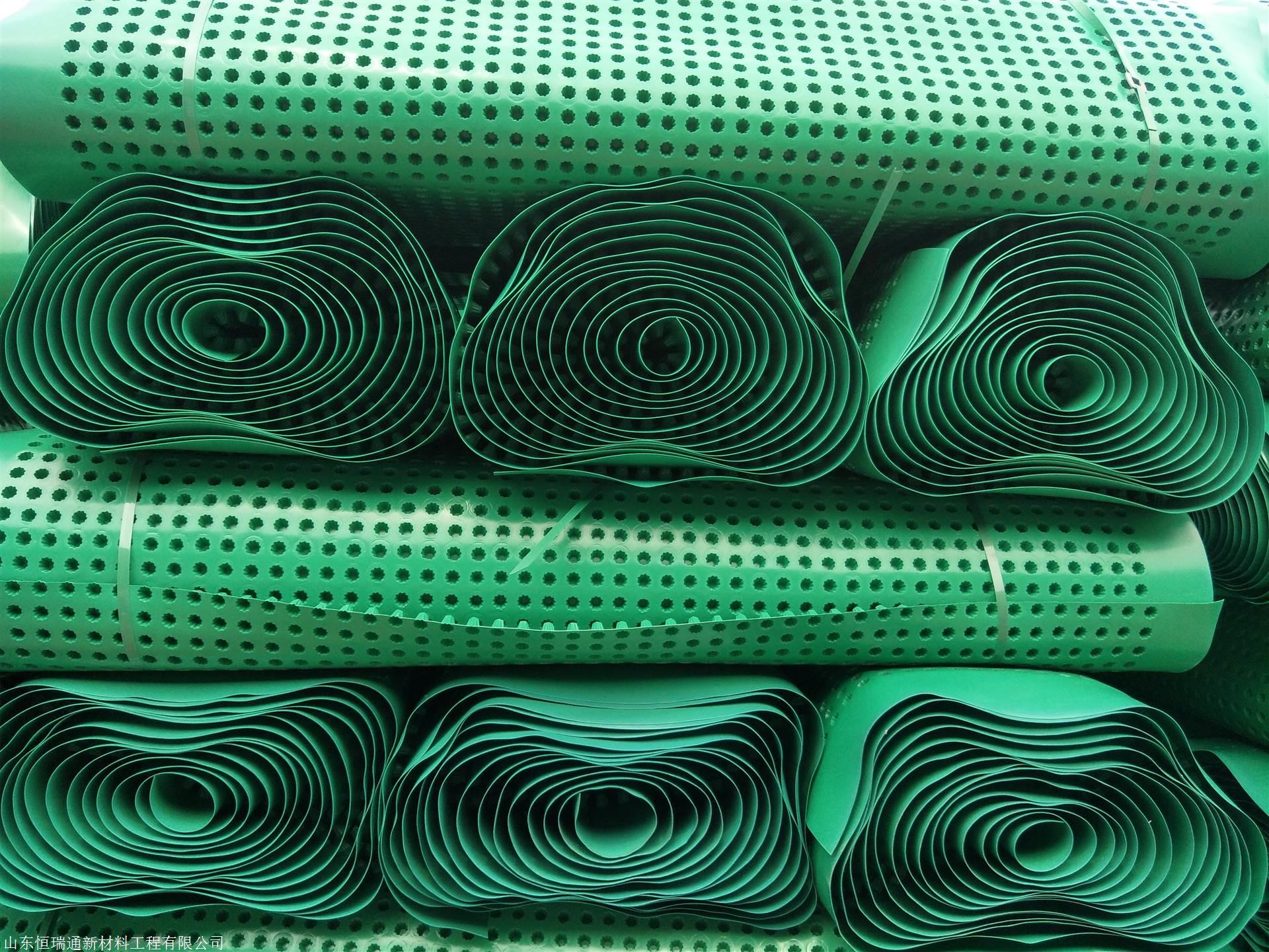 绿化工程用PE凹凸排水板 中空圆柱形立体排水板-山东厂家