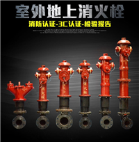 泡沫消火栓-工业消防设备