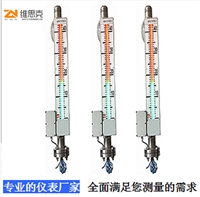 高温300度浮球液位开关UHZ-111高压PPR磁翻板液位计