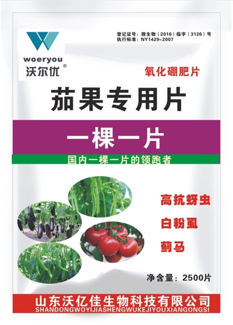 沃億佳一棵一片 茄果作物抗性薊馬白粉虱防治