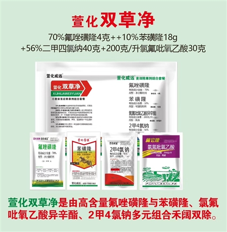 安徽小麥除草劑野燕麥防治批發(fā)