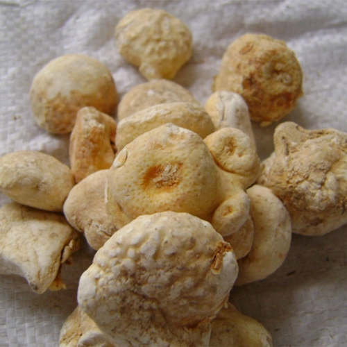 亳州药材市场供应蜈蚣 蜈蚣的功效有哪些