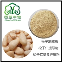 松子仁提取物松子仁粉松籽仁粉速溶粉海松子浓缩粉 黄酮