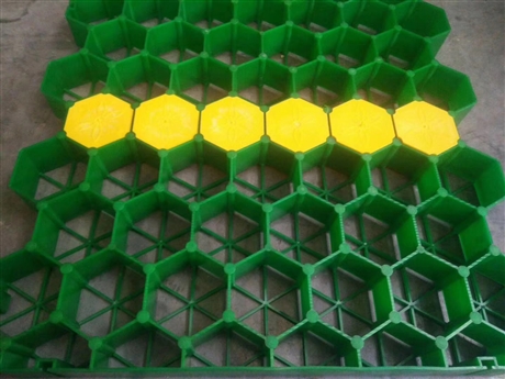 5公分塑料植草格厂家鲁班建材