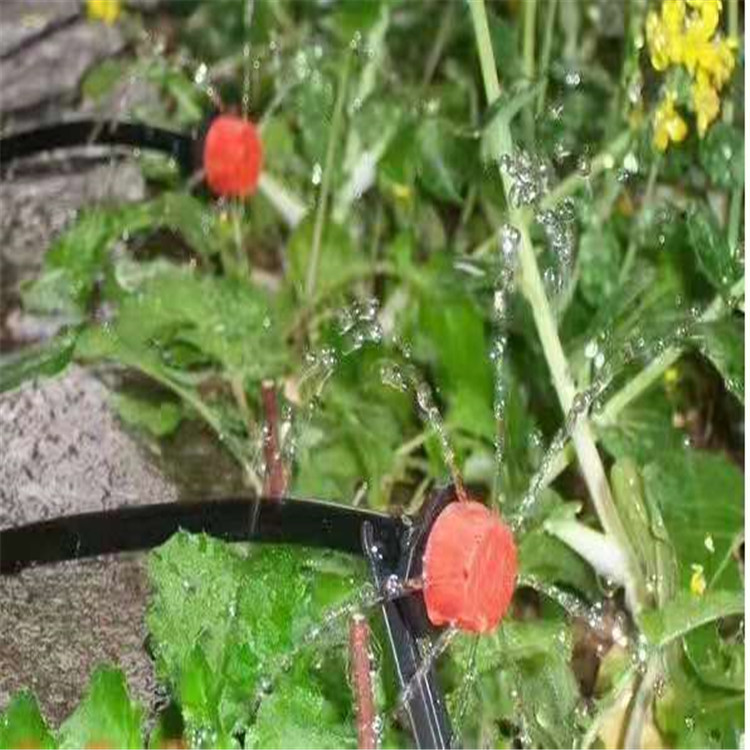 农业果树水肥一体化果园灌溉