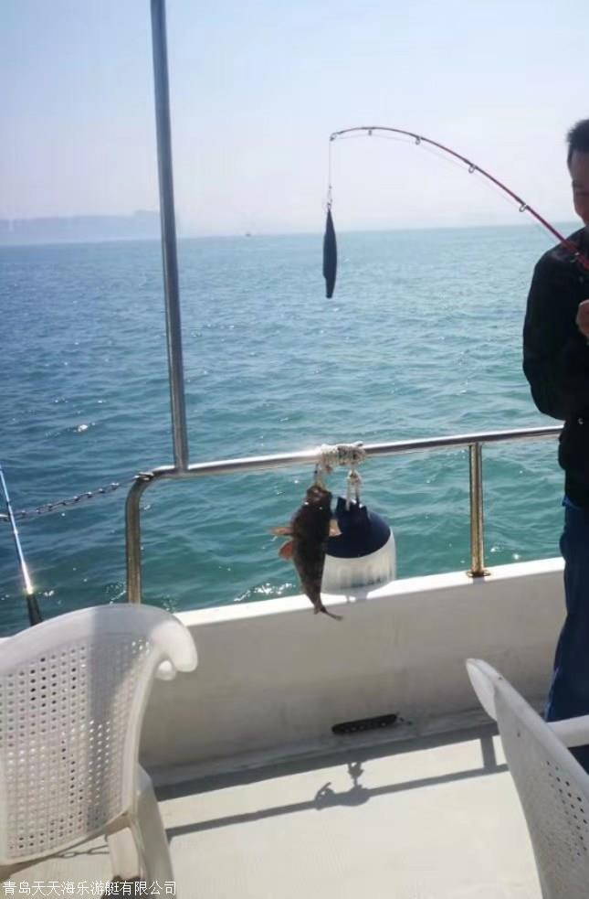 青岛出海钓鱼旅游